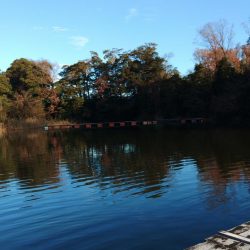 大安トラウトレイク釣果